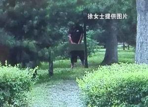 变态公园,揭秘隐藏在都市角落的惊悚世界